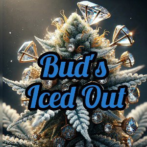 Bud's Iced Out 