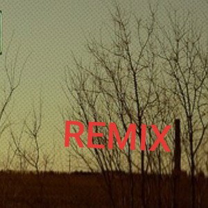 not much time to survive (remix)