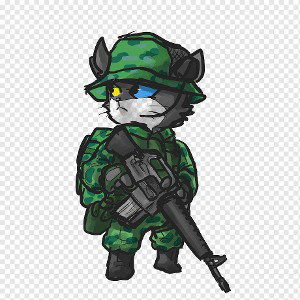Soup Cat Soldiers 