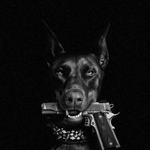 не образцовый