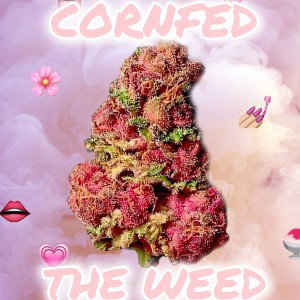 The Weed