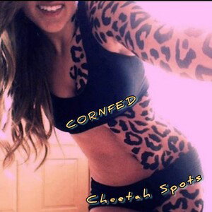 Cheetah Spots