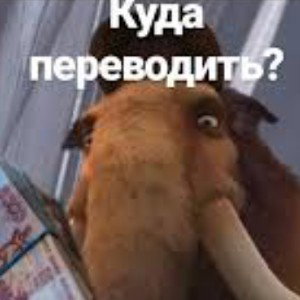 заскамил тебя пока ты срал 