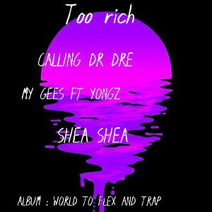 Too rich 
