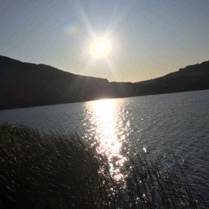 🌞