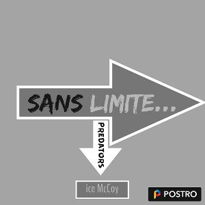 *SANS LIMITES*