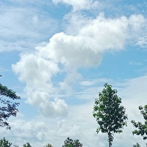 Everything will be okay.