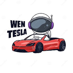 cammino sopra una tesla