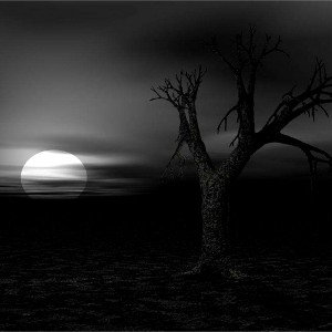 LOOk At This World 