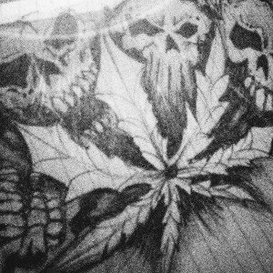 So Rooted In by Lab Tested 