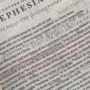 "Scribbled Scriptures" Dboi