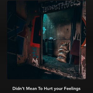 Didn’t Mean To Hurt your Feelings