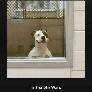 In Tha 5th Ward