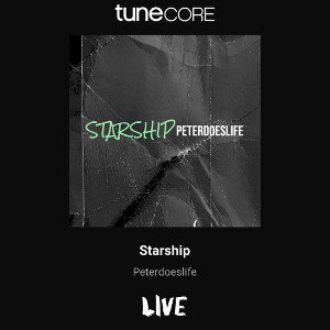 starship-1