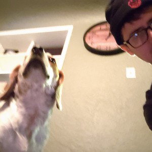 jax