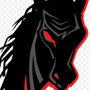 DARK HORSE