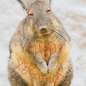 сыыыыыыыы