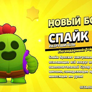 читер