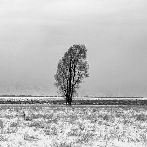 alone.still.not settling for that bullshit.