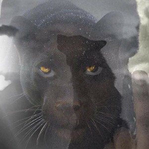 Dinero Dri -  x to the percies ft. lul isaac