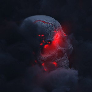 Rise