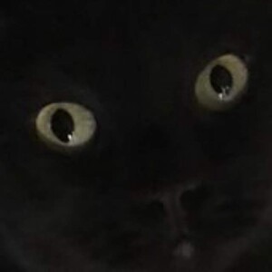Lowkey Feral
