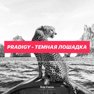 PRADIGY - Темная лошадка