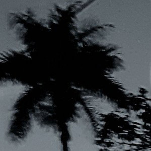 Sad nights