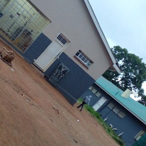impilo yase-hostel