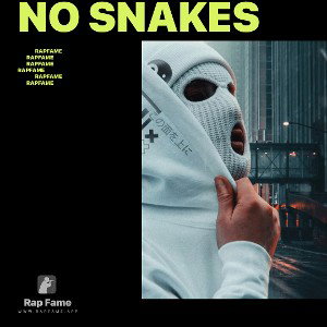 No Snakes