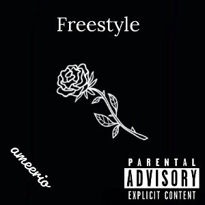 Ameerio - Freestyle 