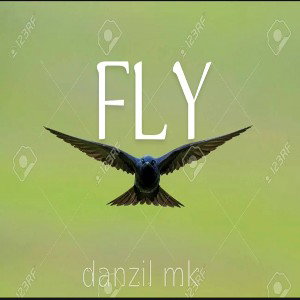 FLY _on the road