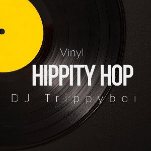 Vinyl Hippity Hop - Old School Hip Hop Beat - 88BPM _1_