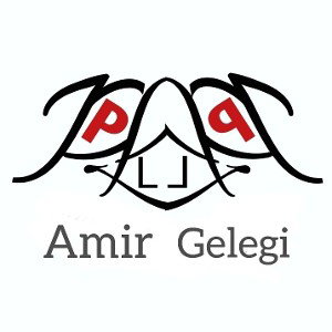 Amir - Gelegi