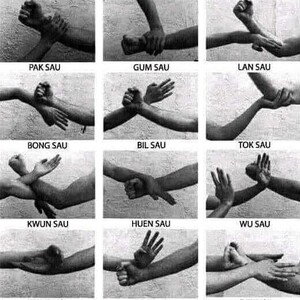 kung fu Flow 