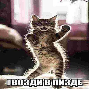 фасун