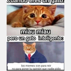 Regreso a lo epico (no se que foto poner xd)