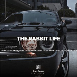 The rabbit life