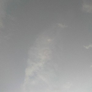 Lil_Sage-_4NESHKA