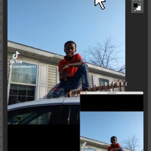 cool  David 