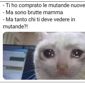 ME + TE