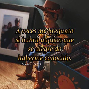 no fui cómo tu