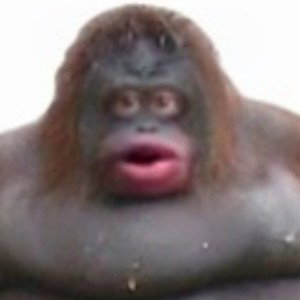 Yes