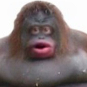 AAAHHHH