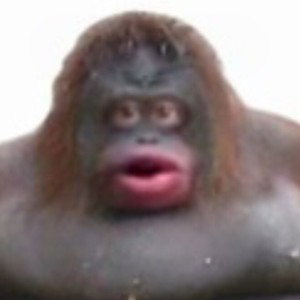 Ooooo