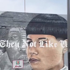they not like us