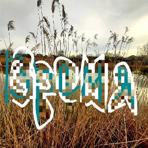 время