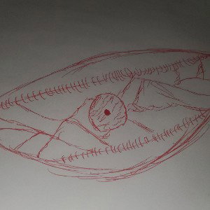freestyle 
