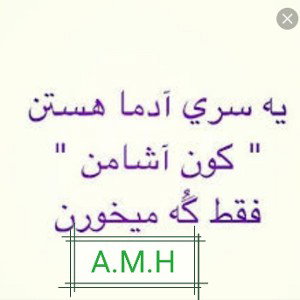 kon asham