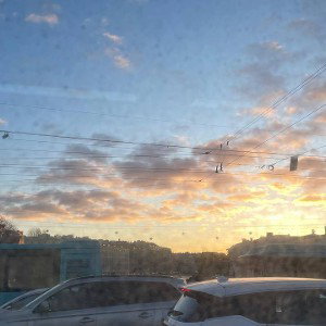 птица свободы